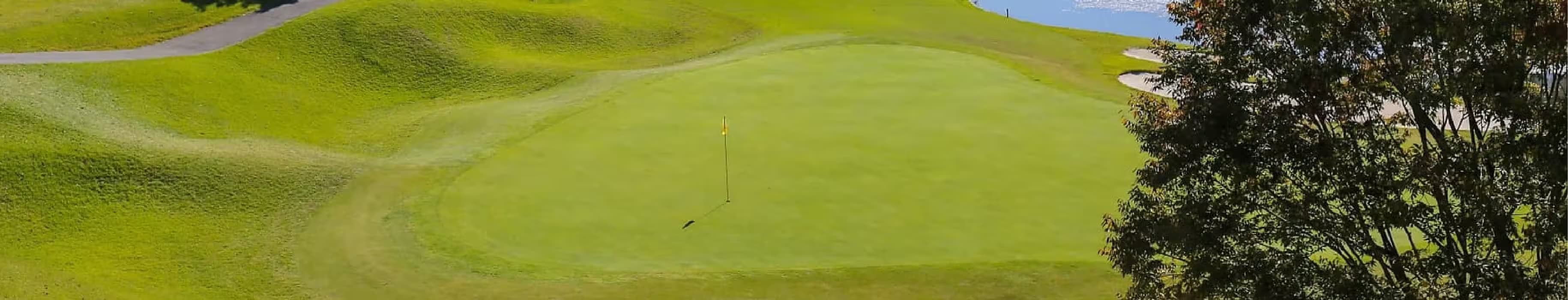 GOLF,イメージ画像